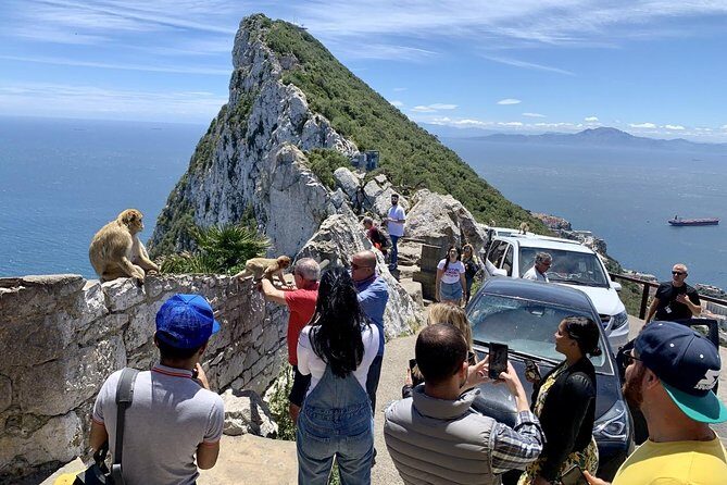 Tours of Gibraltar - STANDARD TOUR - What You Can Expect from the Experience