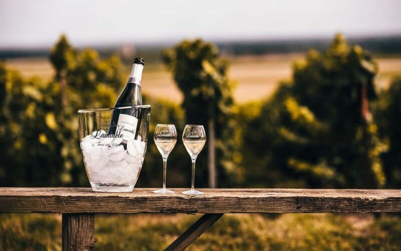 Tours-sur-Marne: Cellar Tour & Champagne Tasting - Exploring the Experience