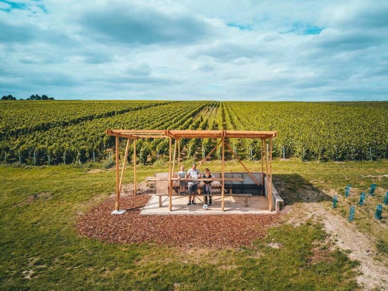 Tours-sur-Marne: Cellar Tour & Champagne Tasting - Who Should Consider This Tour?