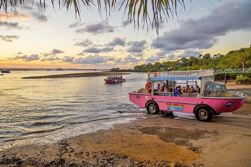 Town 1770: Afternoon Coastline Tour - The Itinerary: What to Expect on the Water