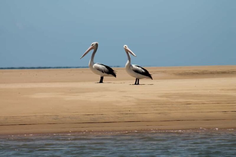 Town 1770: Afternoon Coastline Tour - Who Should Consider This Tour?