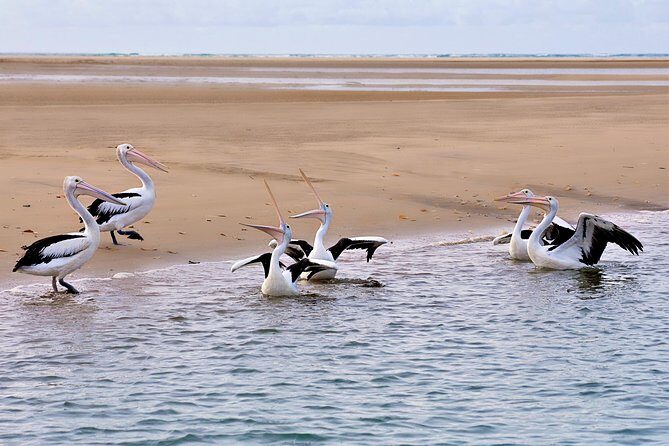 Town of 1770 Afternoon Cruise - What to Expect During the Tour