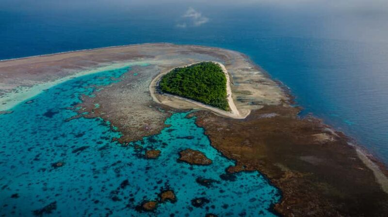 Town of 1770: Lady Musgrave Island Snorkelling Day Cruise - Who Is This Tour Best For?