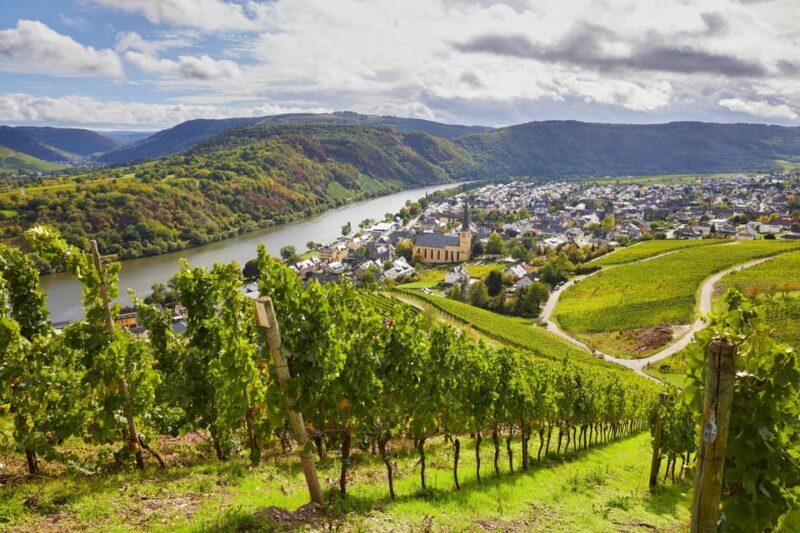 Traben-Trarbach / Bernkastel-Kues, Moselle: Wine experience hike - Key Points