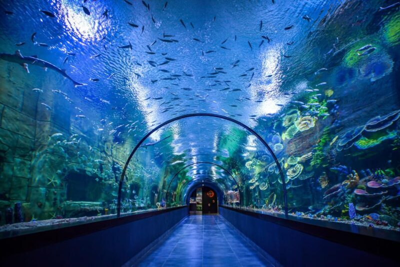 Trabzon: Atatürk Mansion, Ayasofya Mosque, Private Tour - Authentic Insights & Traveler Feedback