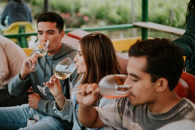 Tractor Pull Around Vineyards and Wine Tasting Tour - The Itinerary in Detail