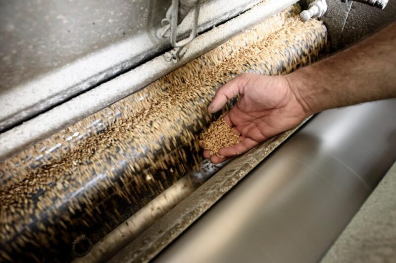 Tradition and taste: tour of Caltagirone's historic mill - Experience the Heart of Sicily’s Grain Processing: A Review of the Historic Mill Tour in Caltagirone