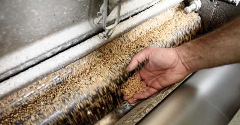 Tradition and taste: tour of Caltagirone's historic mill - Final Thoughts