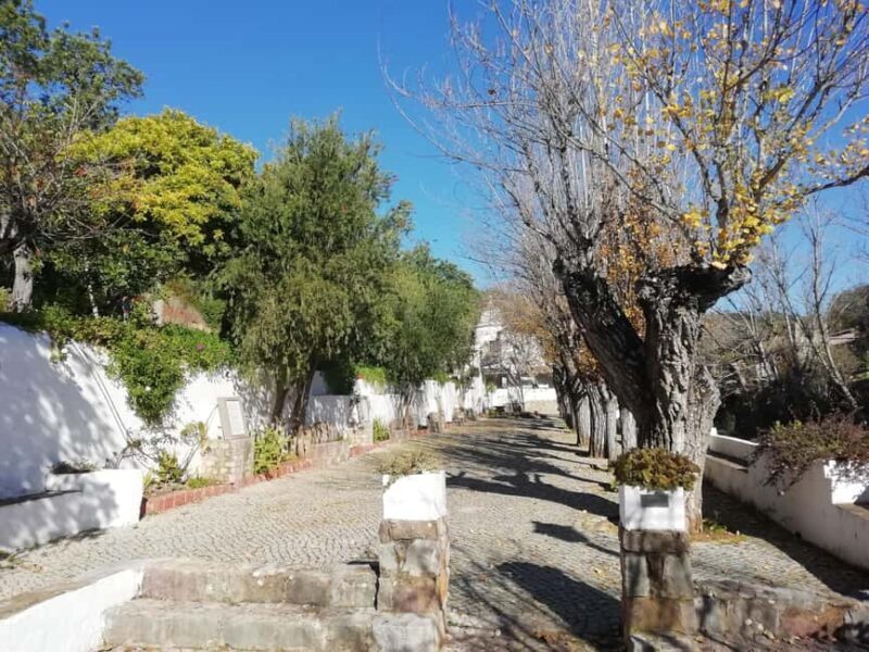 Traditional Algarve - An Honest Look at the Traditional Algarve Tour