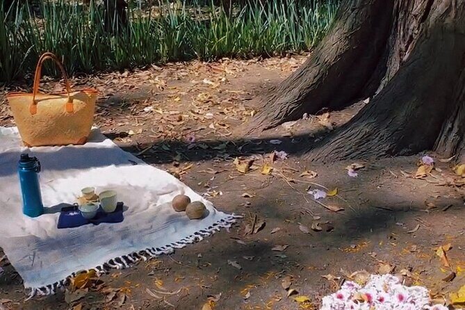 Traditional Chinese Tea Ceremony in the Heart of Mexico City - The Meeting Point and Logistics