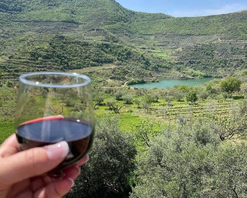 Traditional Cooking Class & Farm Experience in Roshnik - Key Points