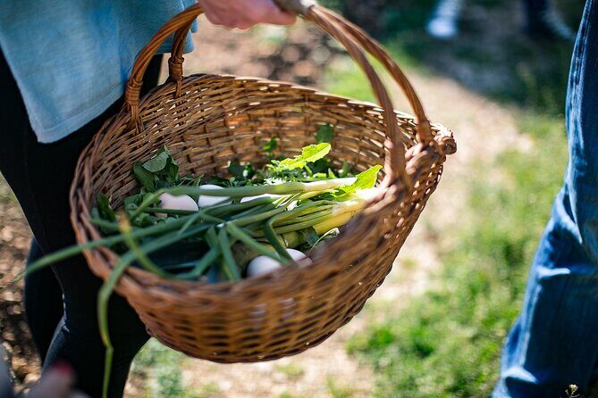 Traditional Cooking Class in Dubrovnik Countryside - The Value for Money