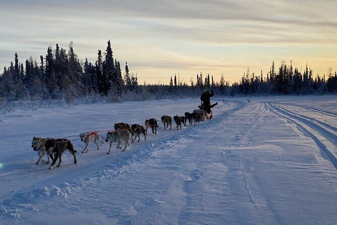 Traditional Dog Sledding Adventure in Yellowknife - What to Expect from the Tour
