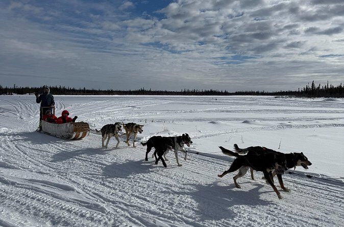 Traditional Dog Sledding Adventure in Yellowknife - Final Thoughts