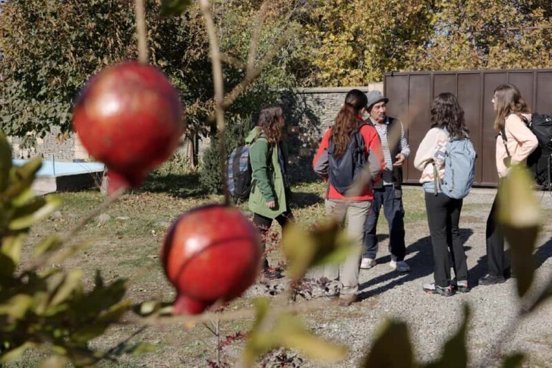 Traditional Horseshoe Blacksmith Workshop near Mtskheta - Final Thoughts