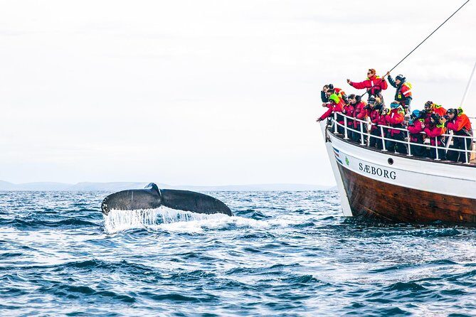 Traditional Oak Ship Whale Watching Tour From Husavik - FAQs