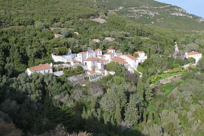 Traditional Private Setúbal Food Tasting Experience - The Value of This Experience