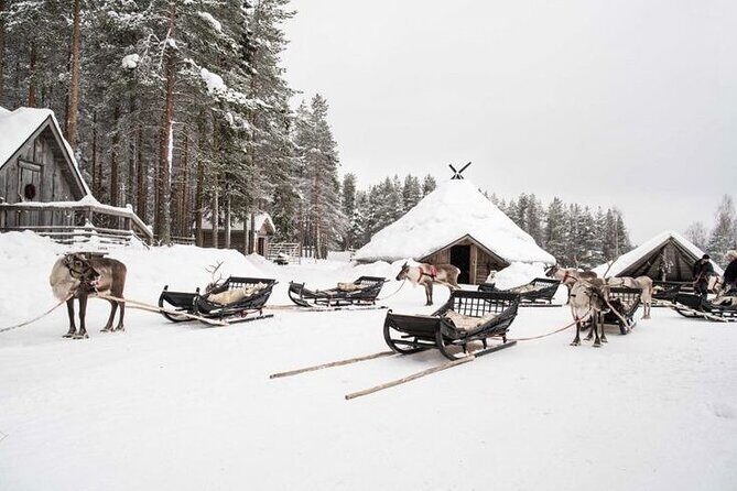Traditional Reindeer Farm Visit with a Short Sleigh Ride - A Closer Look at the Reindeer Farm Tour