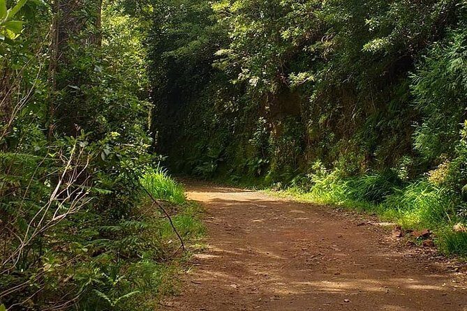 Traditional Sunday Market - Half Day Tour - 4x4 - Final Thoughts