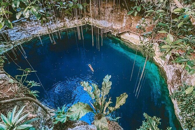 Traditional Temazcal Ceremony and Cenote Experience - What to Expect from the Temazcal & Cenote Tour