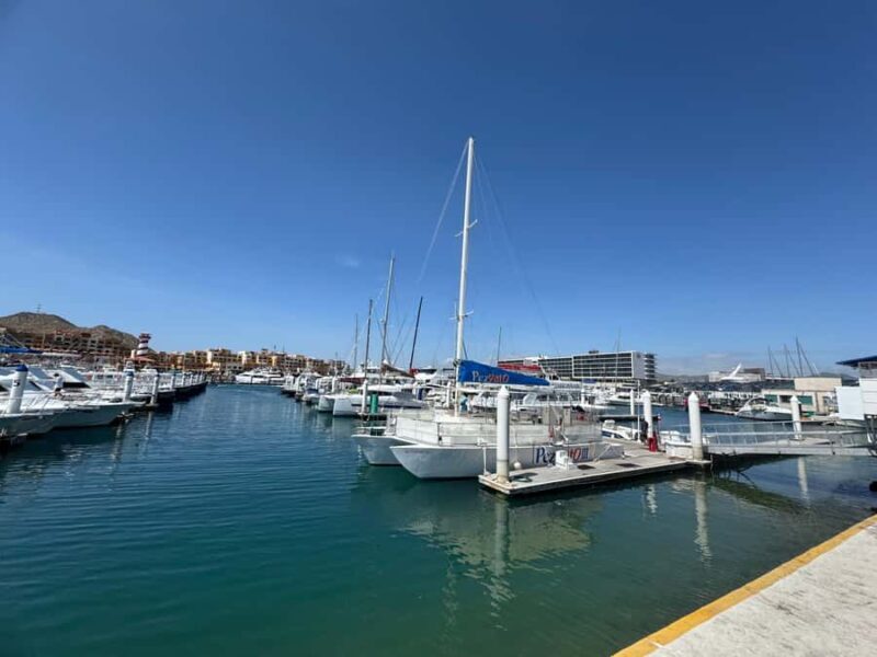 Traditional tour to the Arch of Cabo San Lucas. - What’s Included and What’s Not