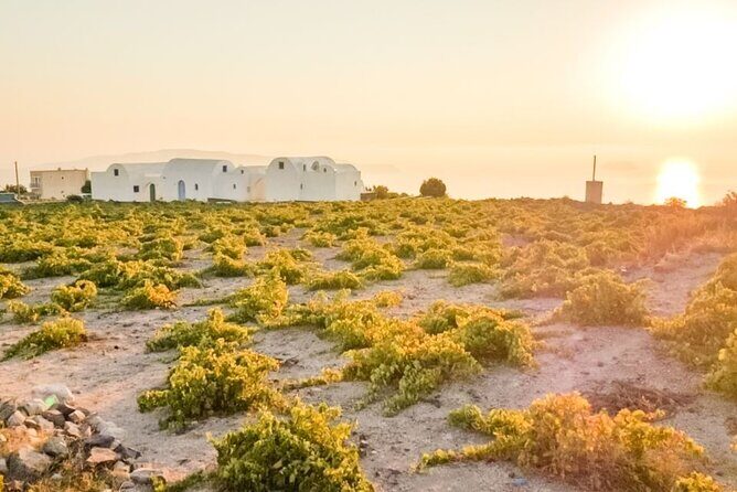 Traditional Villages & Ancient Akrotiri Private Tour - Whats included and whats not