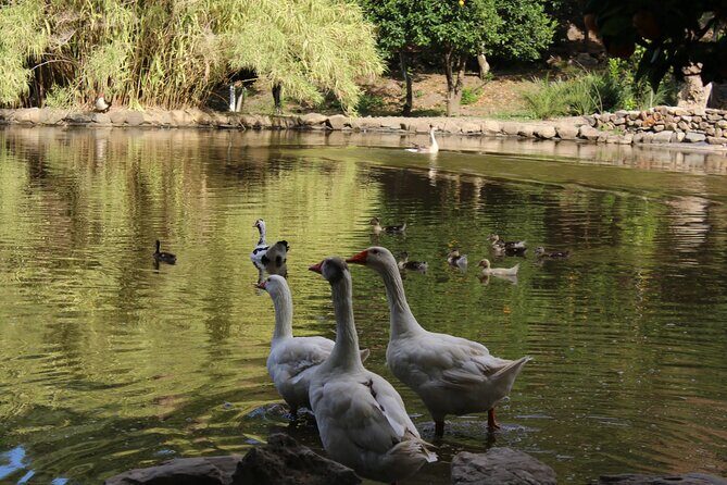 Traditional villages of Chania Private Tour to Explore pure Crete - Final Thoughts: Is This Tour Right for You?