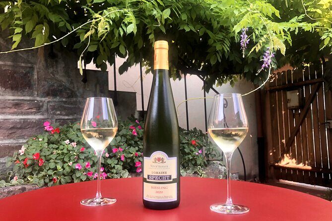 Traditional visit and tasting - Final Thoughts