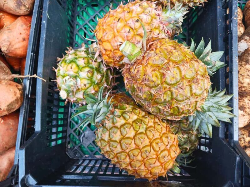 Traditions & Flavors of São Miguel - Who Will Love This Tour?