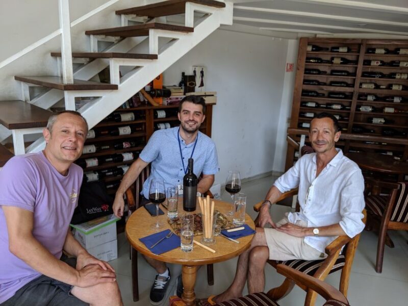 Traditions in Bucharest: Village Museum and Wine Tasting - Key Points