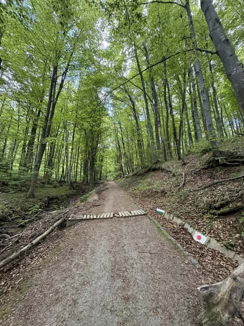 Trail Running Adventure - Key Points