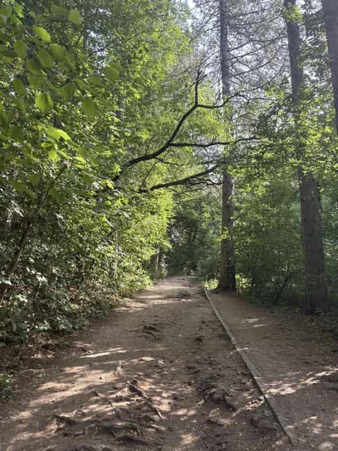 Trail Running Adventure - Who Is This Tour Best For?