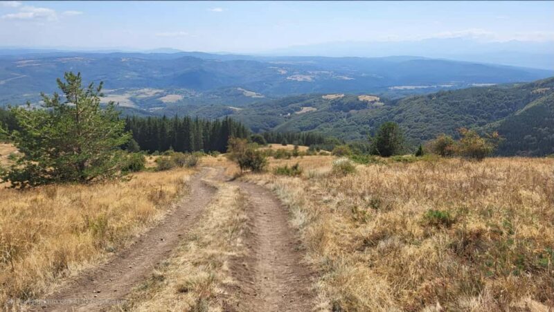 Trail Running Adventure - FAQ