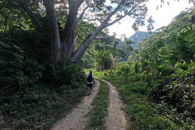 Trail to the Waterfall: A Journey to the Essence of Nature - Authentic Reviews from Participants