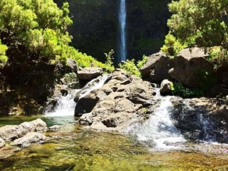 Trail to Wind Lagoon  Explore Levada do Alecrim - Who Should Book This Tour?