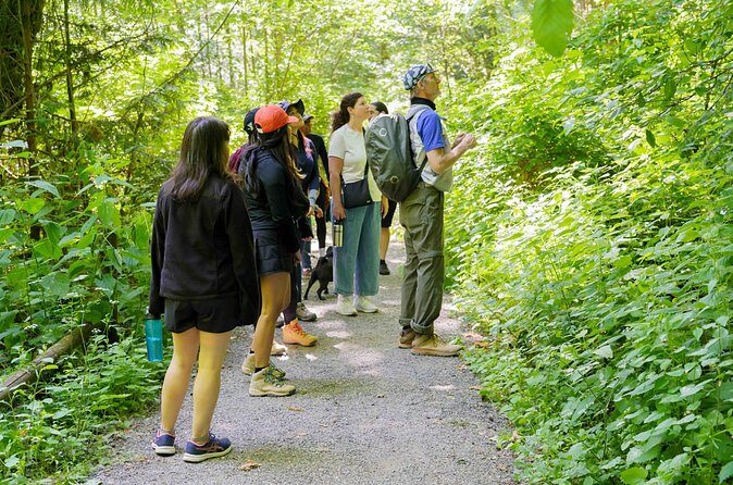 Trails Through Time Bellevue Coal Creek History Hike - Frequently Asked Questions