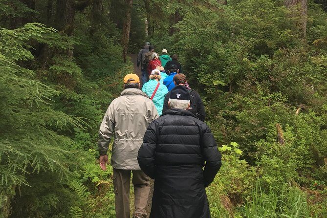 Traitors Cove Bear Viewing - Things to Consider