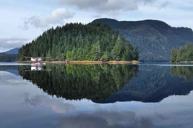 Traitors Cove Bear Viewing - Frequently Asked Questions