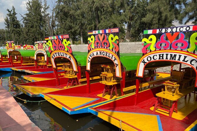 Trajinera Party at Xochimilco with Drinks, Mariachi & Tacos - Who Would Love This Experience?