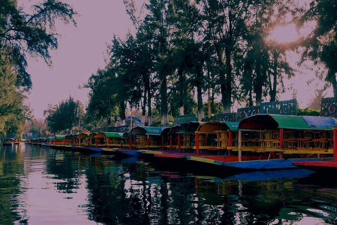 Trajinera Party at Xochimilco with Drinks, Mariachi & Tacos - FAQs