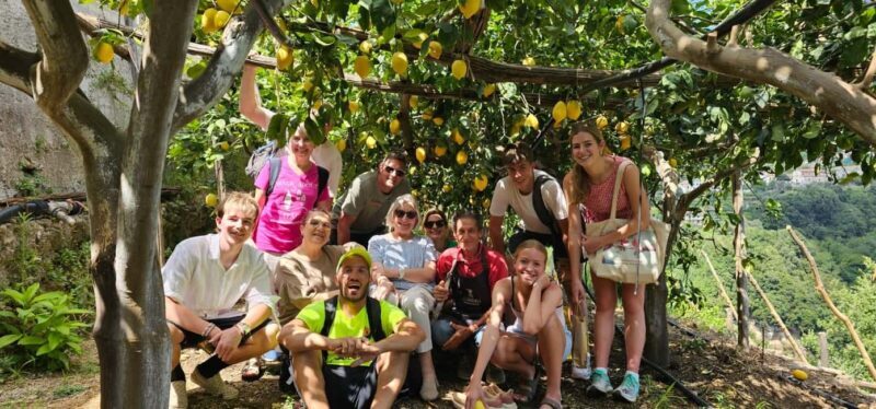Tramonti: Lemon Tour at "Formichelle" Farm on Amalfi Coast - Setting the Scene: What the Tour Is All About