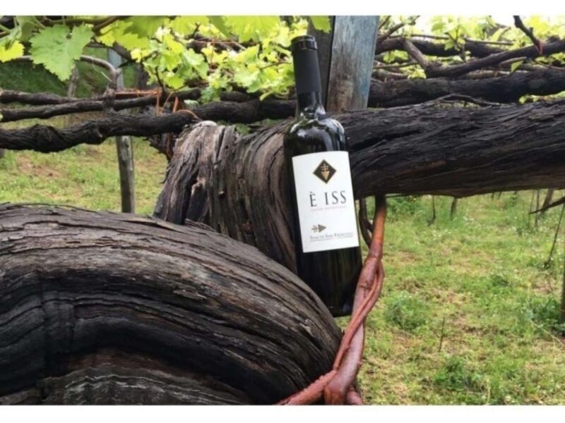 Tramonti: Tenuta San Francesco Wine Tasting - Insights from Reviews