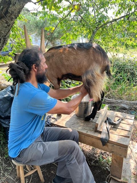 Trancoso: Farm eco-Tour with Tasting - Key Points