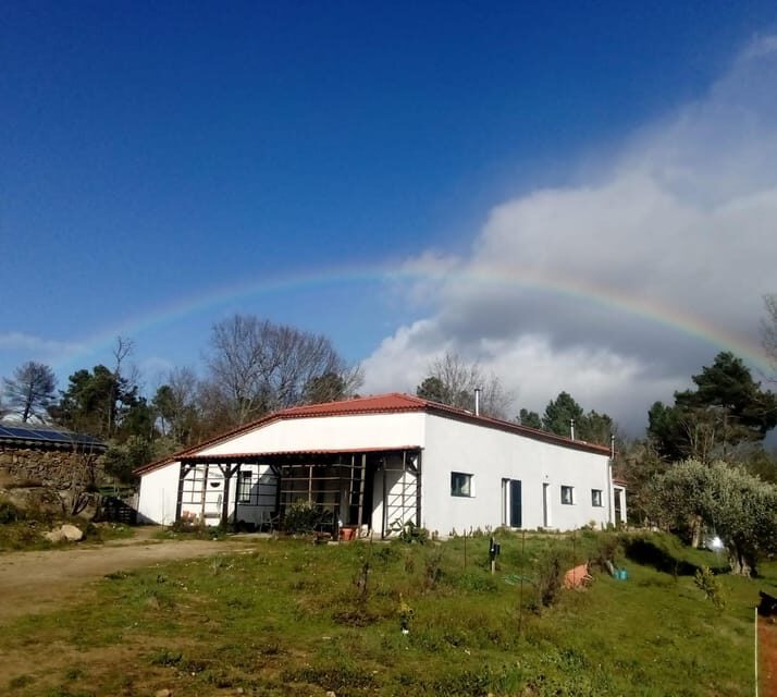 Trancoso: Farm eco-Tour with Tasting - A Deep Dive into the Trancoso Farm Eco-Tour Experience