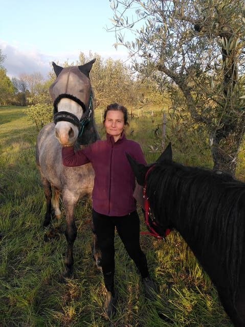 Trancoso: Farm eco-Tour with Tasting - What Reviewers Are Saying