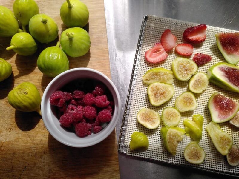 Trancoso: Farm eco-Tour with Tasting - Final Thoughts: Is It Worth It?