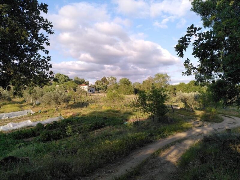 Trancoso: Farm eco-Tour with Tasting - FAQ