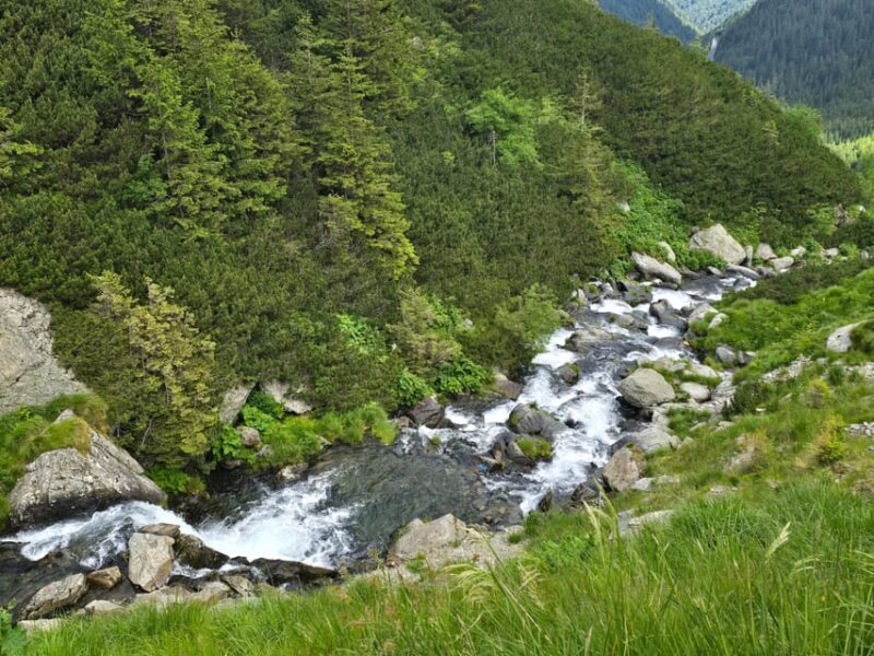 Transfagarasan highway Private tour - Who Is This Tour Best For?