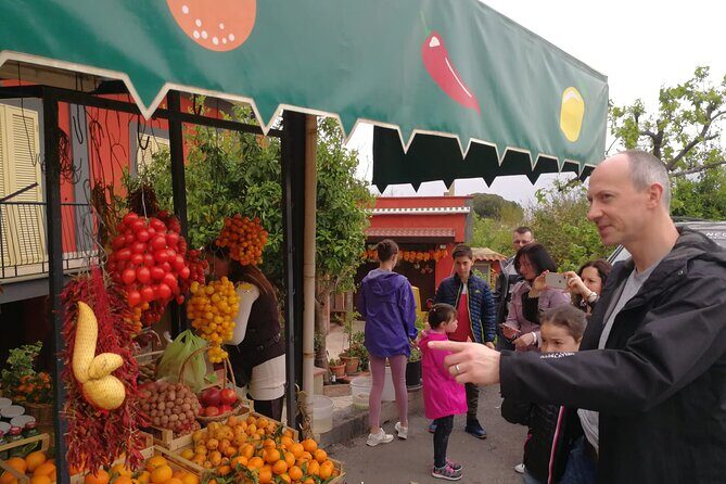 Transfer also for disabled Naples / Sorrento / Amalfi Coast - Key Points