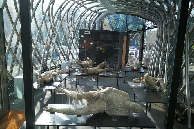 Transfer also for disabled Naples / Sorrento / Amalfi Coast - How the Service Stands Out